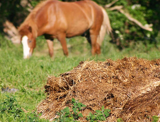 畜牧業產生的堆肥