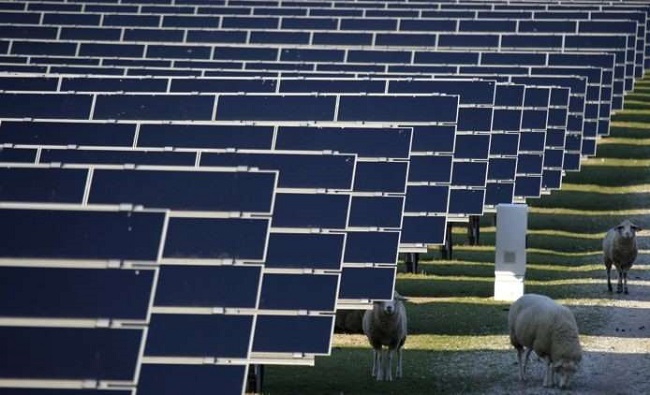 太陽能發電設施
