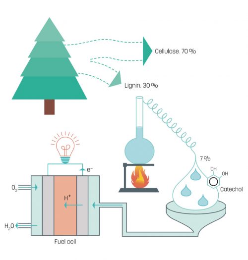 木質素化學製造流程(詳細說明如上述內容)