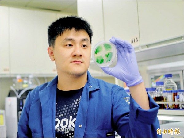 交大生物科技系助理教授蘭宜錚透過代謝工程修改藍綠菌代謝途徑。