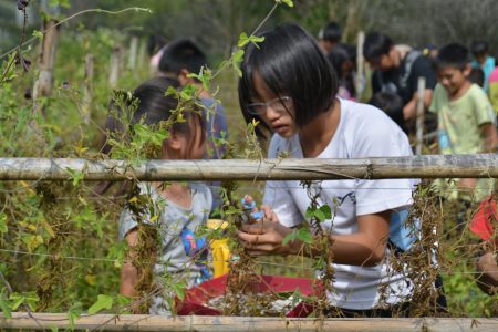 親愛國小學童參與台灣大豆採收