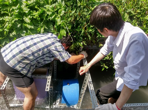 機械系同學在花蓮吉安鄉蓮城蓮花園水道架設微型水力發電機
