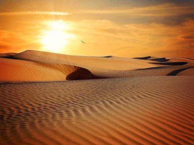沙漠興建太陽能廠及風場