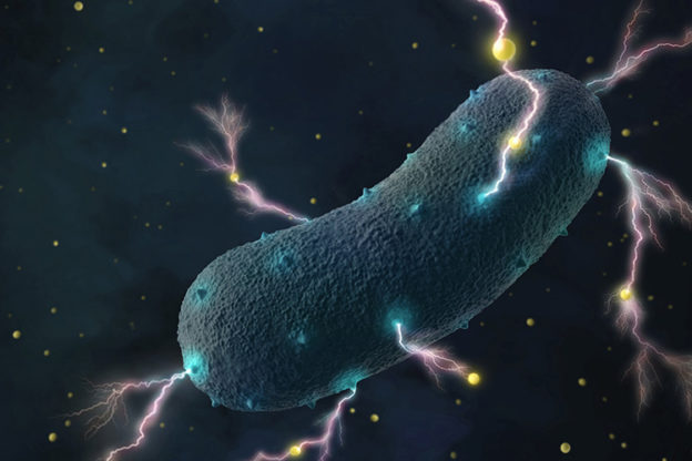 能夠發電的細菌就在人類的腸道
