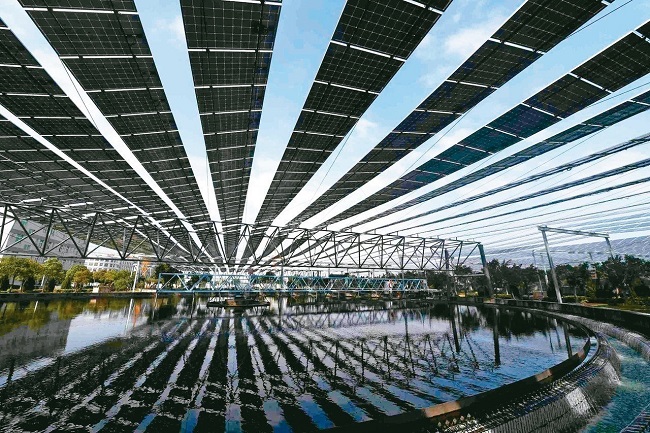 汙水廠設立太陽能板