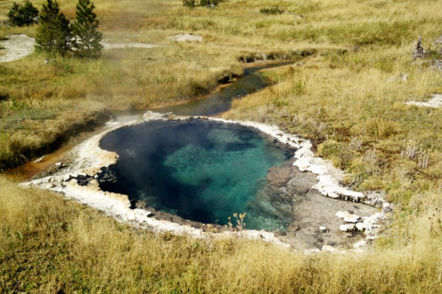 黃石國家公園 43-93°C 的鹼性溫泉