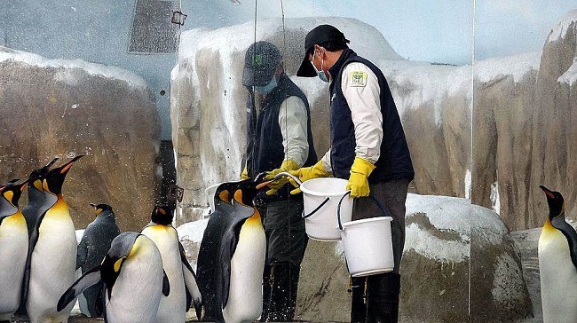 參觀完整的企鵝生態館圖文解說，即可獲得集點戳章。（台北市立動物園提供）