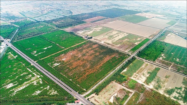 市府已在七股區台糖三股農場範圍內規劃七股科技工業區，未來開發面積約141.3公頃。（南市經發局提供）