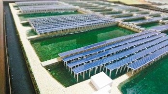 台鹽綠能發展漁電共生，要在台南700多公頃的漁塭上建太陽能板。 圖／台鹽綠能提供 