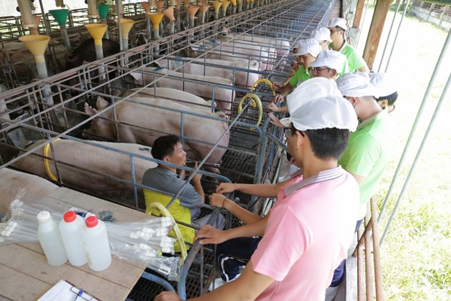 台糖養豬場除了回收沼氣發電外，還可以售出綠電憑證。圖片來源：台糖
