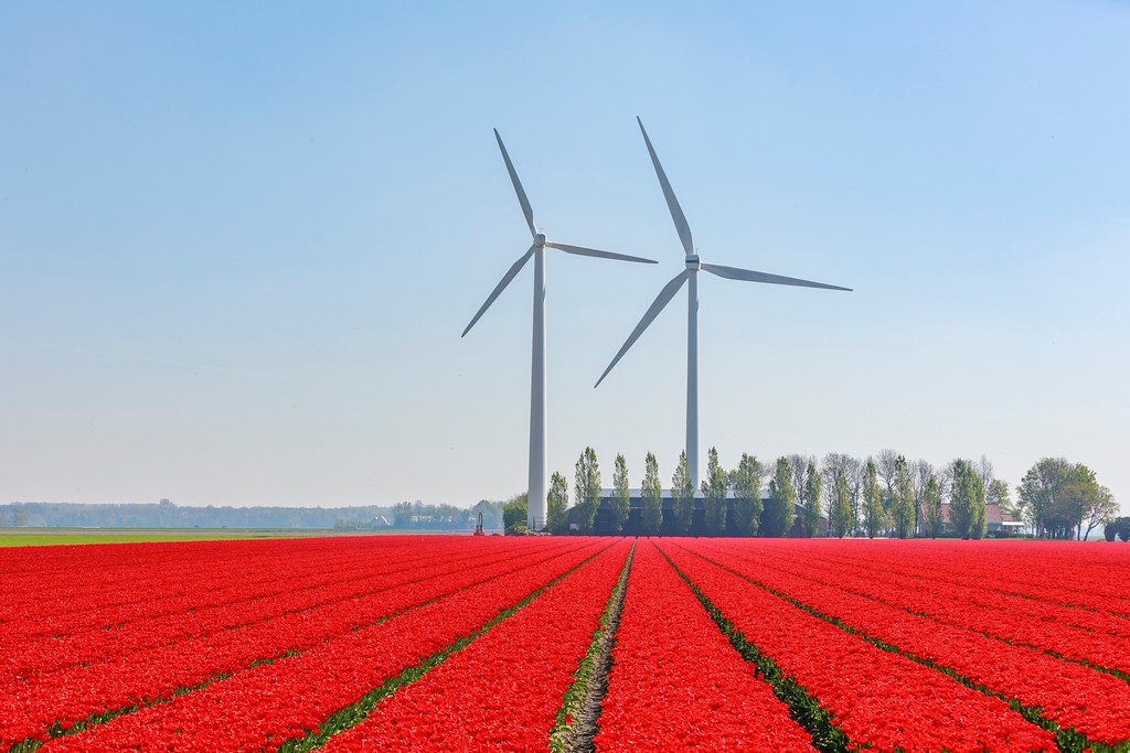彭博綠色報導，去年再生能源首次超越化石燃料，成為歐洲電網中的主要電力來源。照片來源：Martijn Baudoin／Unsplash