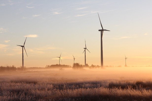 陸域風電跟光電是再生能源增加的主力。圖片來源：Laura Penwell／pexels