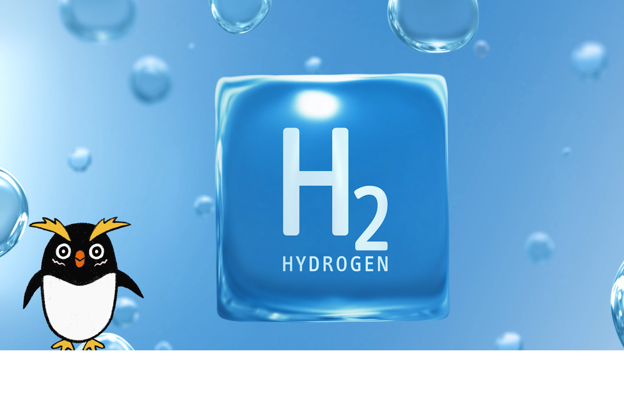 氫能到底是蝦款？