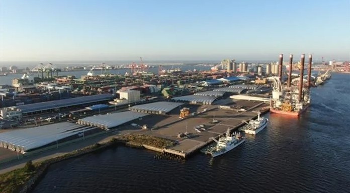 港務公司擬定減碳 積極邁向港群「綠色永續」
