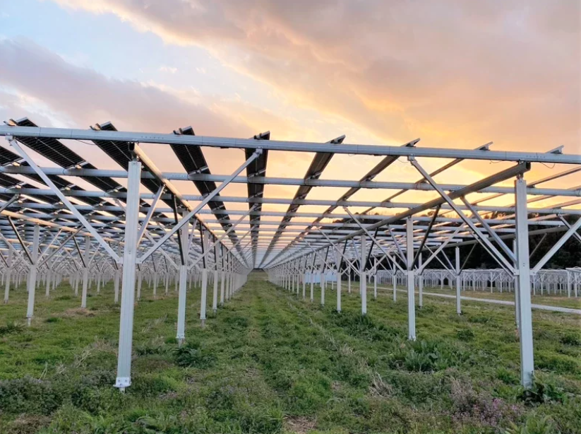 日本農電共生是將太陽能板架高，讓原本的農地可以繼續種植農作物。圖／彰化縣政府提供