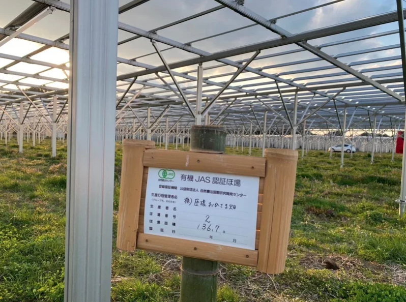 日本農電共生是將太陽能板架高，讓原本的農地可以繼續種植農作物。圖／彰化縣政府提供